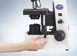 Olympus microscope CX41